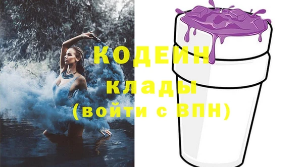 дживик Струнино