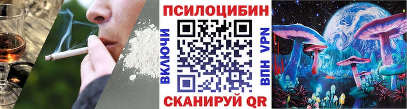 нарко площадка официальный сайт  Кушва  Галлюциногенные грибы Psilocybine cubensis 
